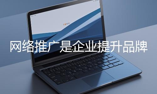 網(wǎng)絡(luò)推廣是企業(yè)提升品牌影響力、拓展市場(chǎng)的重要手段